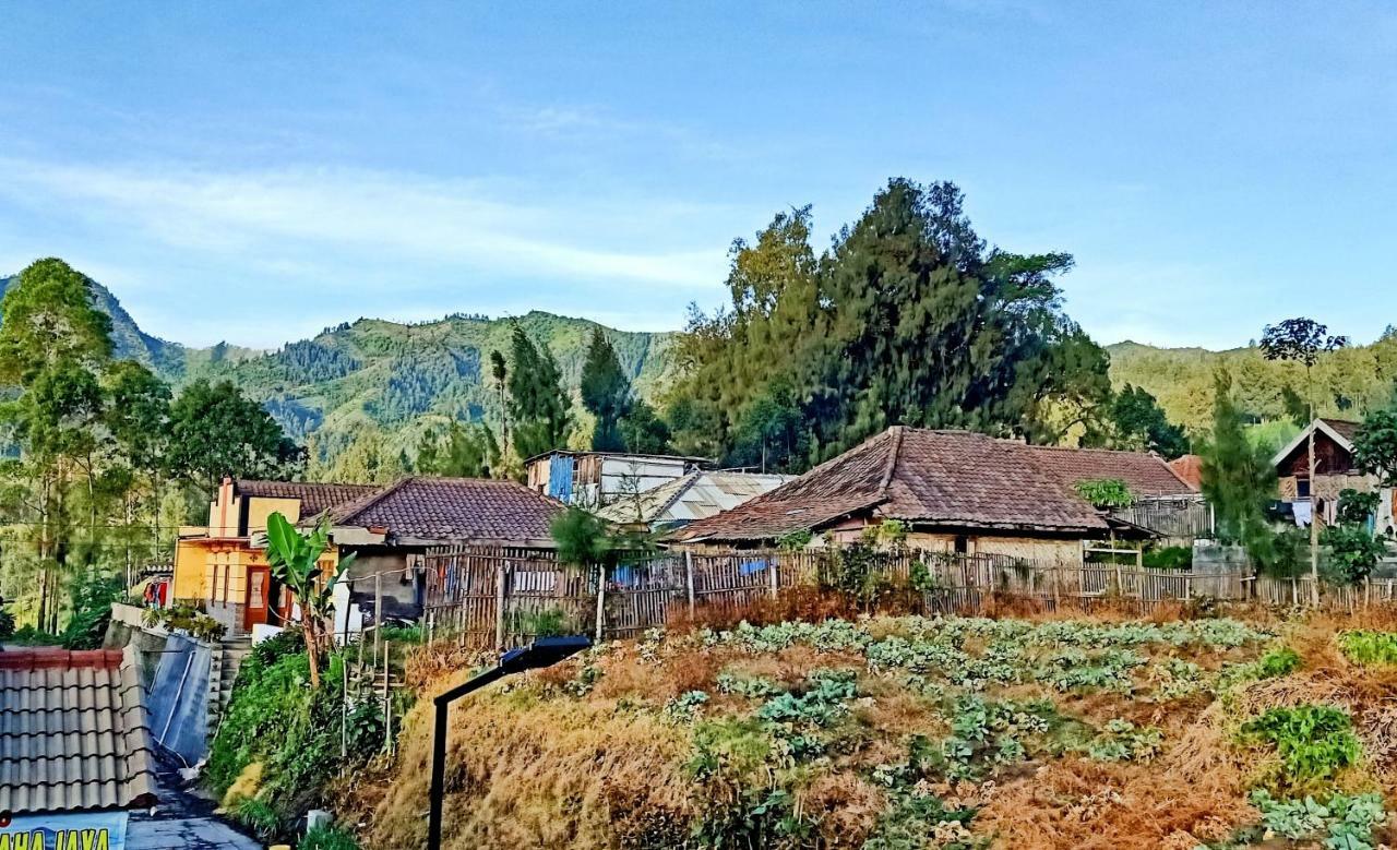 Homestay Anggun Бромо Экстерьер фото